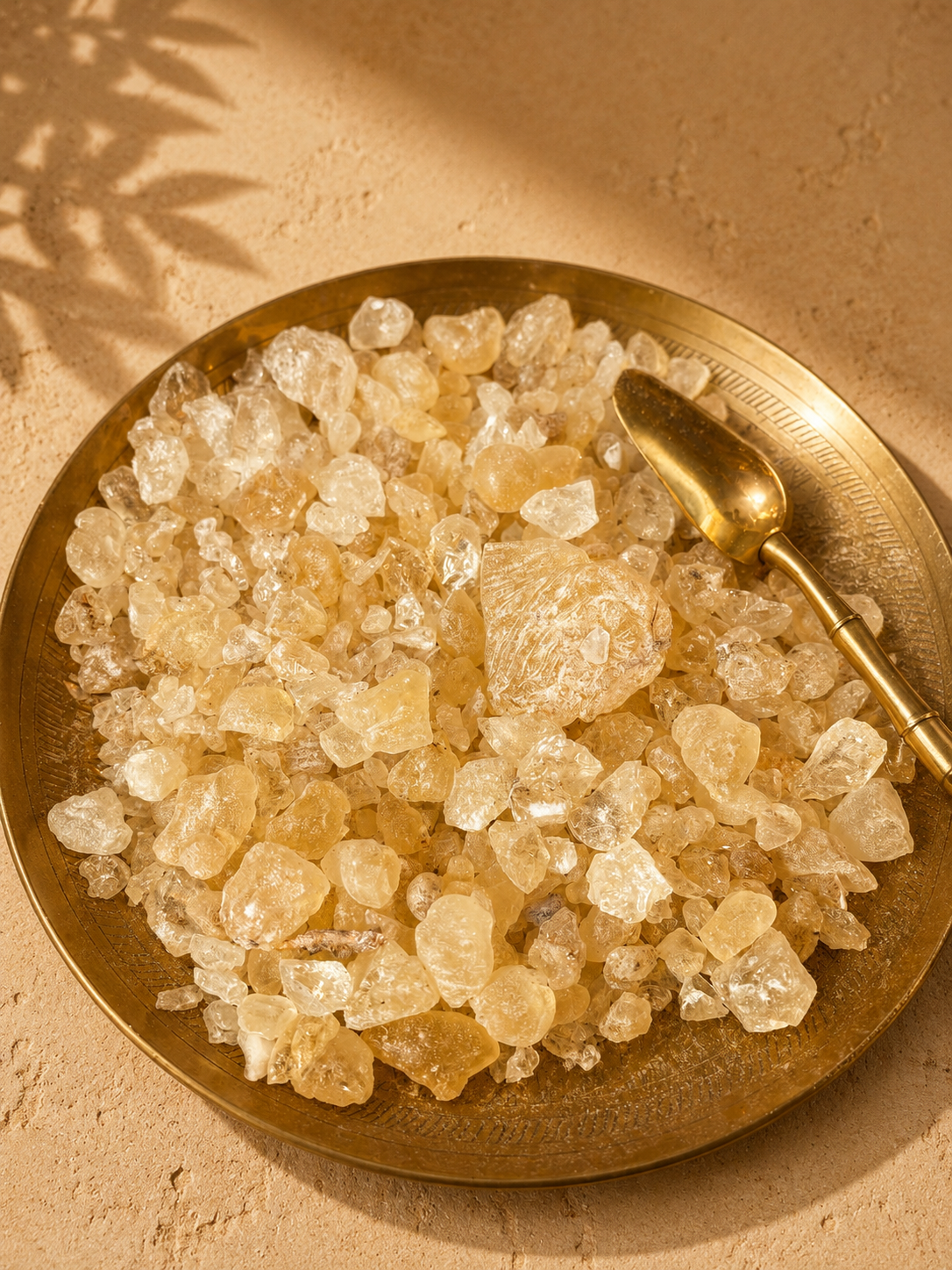 Dammar – Resina Naturale da Incenso 60 g