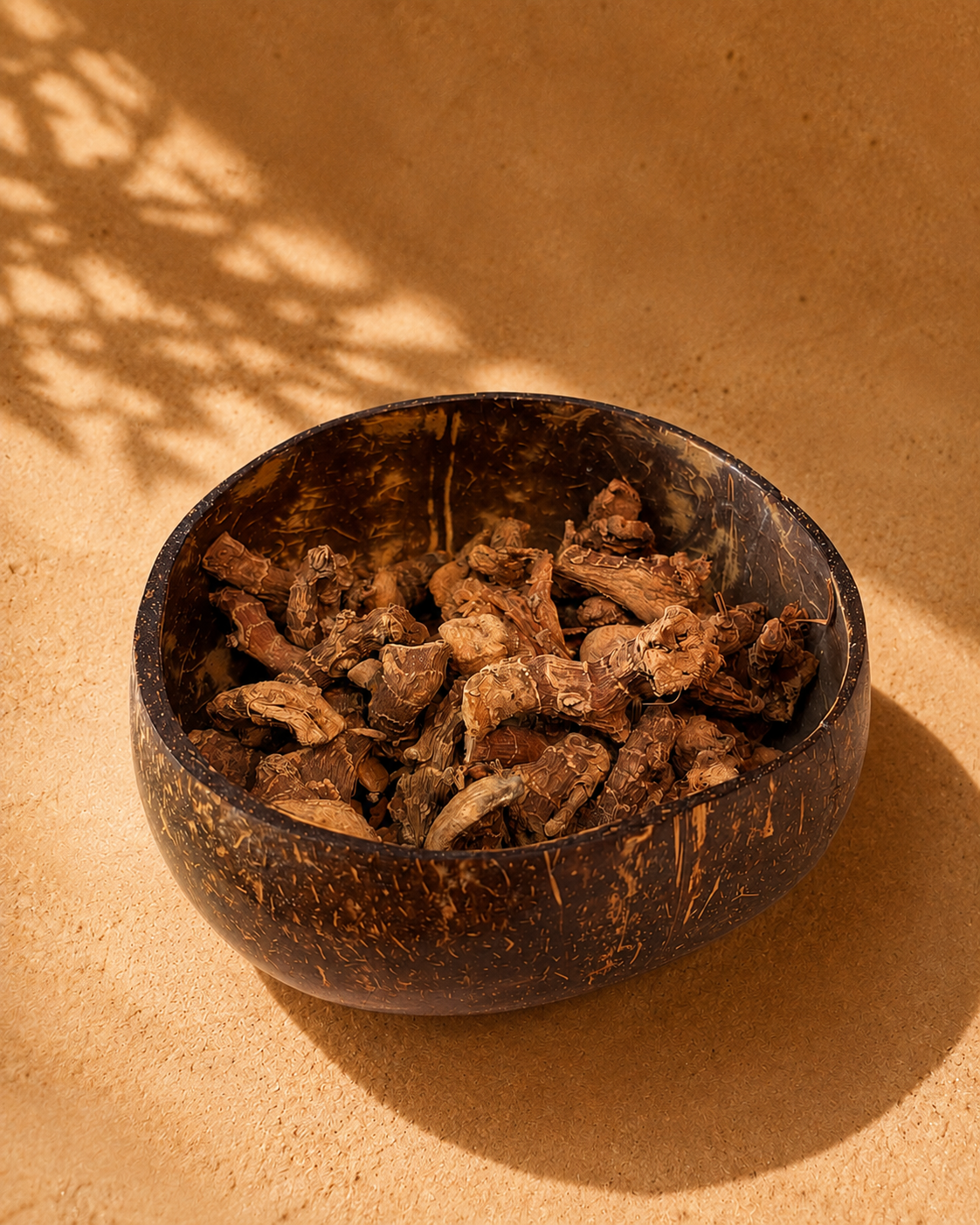Galanga – Resina Naturale da Incenso